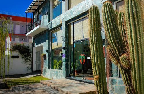 Cafayate Hotel | Hotel Los Sauces