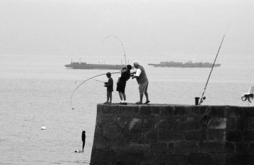 Samieira Hotel | HOTEL MAREA