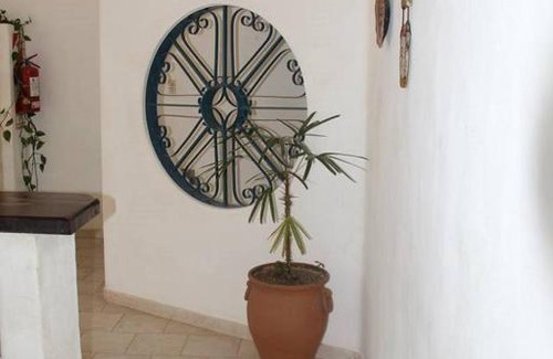 Dr. Enrique Zarate Hotel | Hotel Mediterraneo