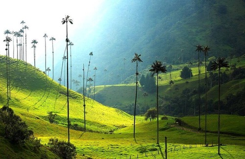 La Tebaida Hotel | Hotel Mirador San Esteban