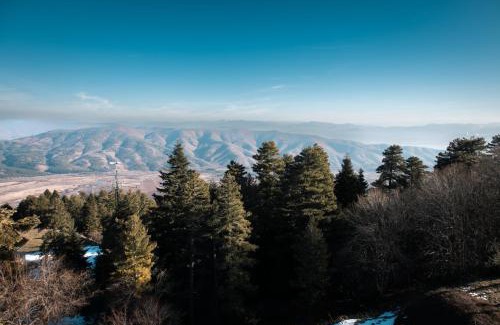 Magarevo Hotel | Hotel Molika