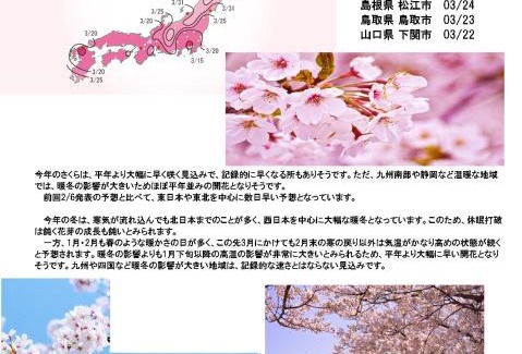 Nagato Hotel | HOTEL MYTH-Resort -ホテル マイス リゾート- adult only