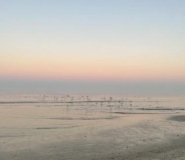 Fogliano Marina Hotel | Hotel Napoleon