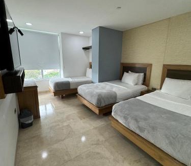 Cartagena District Hotel | Hotel Odonata Real