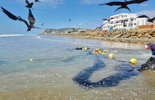 San Clemente Hotel | Hotel Ola Bella