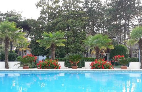 Lignano Pineta Hotel | Hotel Olympia