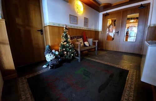 Passo del Tonale Hotel | Hotel Panorama