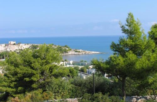 San Lorenzo Hotel | Hotel Parco Carabella