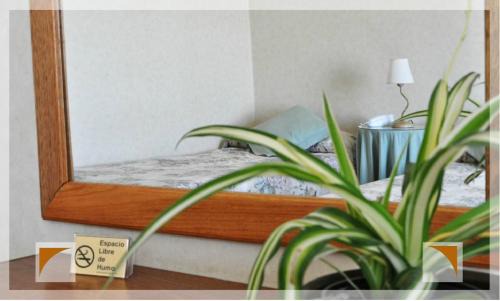 Las Grutas Hotel | Hotel Patagonia Norte