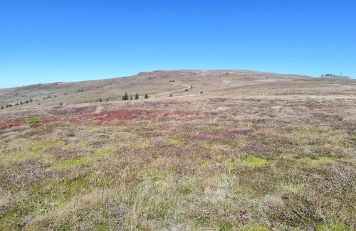 Althofen Hotel | Hotel Prechtlhof