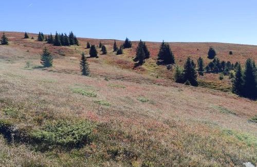 Althofen Hotel | Hotel Prechtlhof