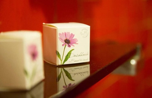 Bovolone Hotel | Hotel Ristorante Sasso