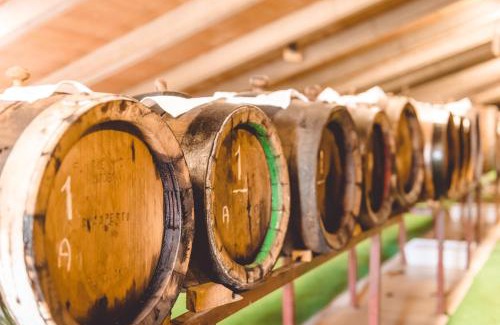 Spilamberto Hotel | Hotel San Pellegrino