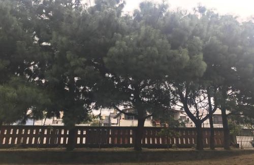 Quito Hotel | Hotel Savoy Inn