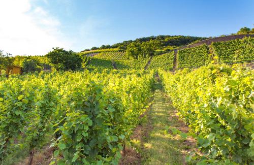 Muden Hotel | Hotel Sewenig