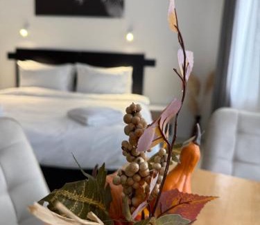 Skopje Region Hotel | Hotel Sharlota