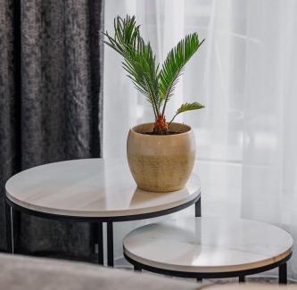 Poiana Brasov Hotel | Hotel Soimul