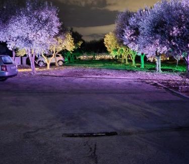 Ercolano Hotel | Hotel Souvenir