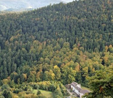 Murbach Hotel | Hotel-Spa & Restaurant Logis Domaine Langmatt