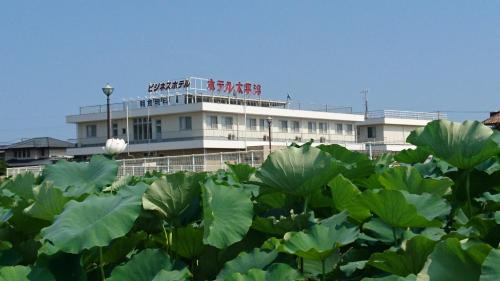 Matsushige Hotel | Hotel Taiheiyo