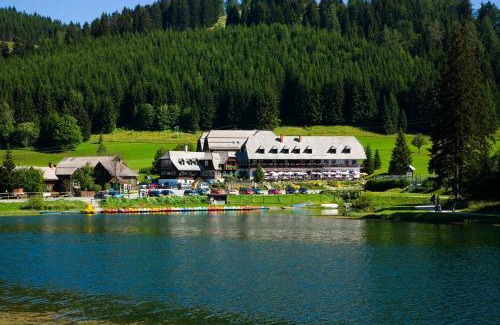 Fladnitz an der Teichalm Hotel | Hotel Teichwirt