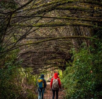 Puyehue Resort | Hotel Termas Puyehue Wellness & Spa Resort