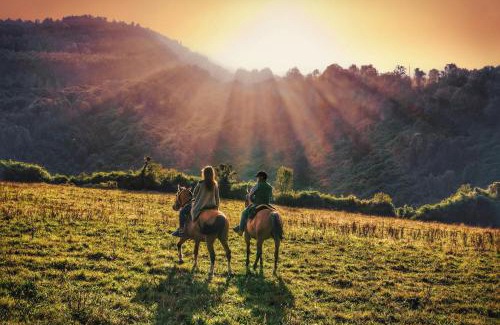 Puyehue Resort | Hotel Termas Puyehue Wellness & Spa Resort