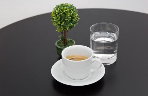 Oradea Hotel | Hotel Terra