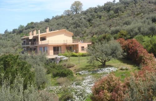 Aigialeia Hotel | Hotel Theasi