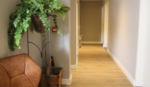 Terneuzen Hotel | Hotel Triniteit