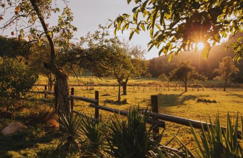 Mertesdorf Hotel | Hotel und Weingut Karlsmühle