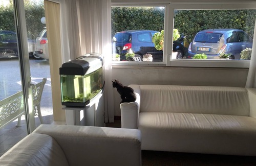 Viserbella Hotel | Hotel Viking