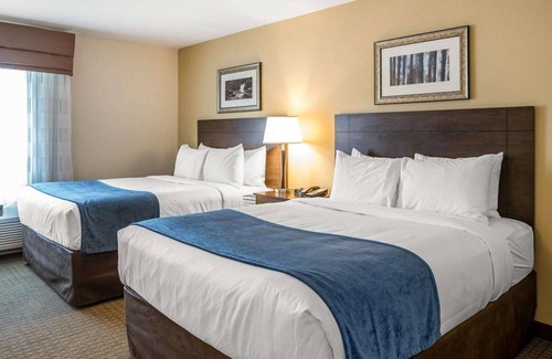 Bagua Grande Hotel | HOTEL VIP 46 SSQS