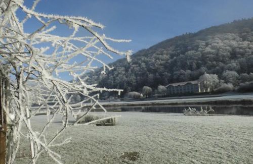 Bodenwerder Hotel | Hotel Weserstuben