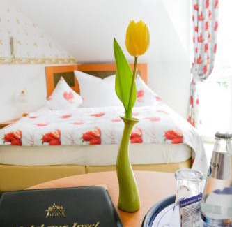 Werder Hotel | Hotel zur Insel