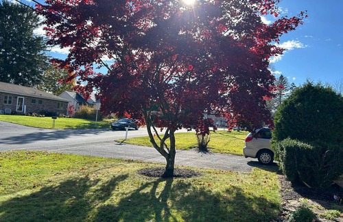 State College House | House - 30 minute walk to Penn State campus