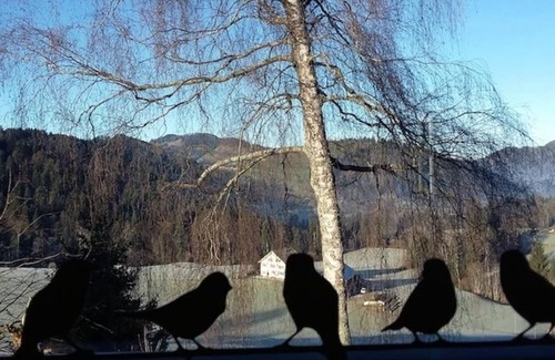 Hemberg House | House Chrumis