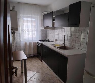 Fagaras Apartment | House Dey