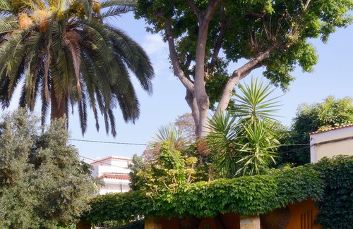Teror Cottage | House El Borbullón nº2