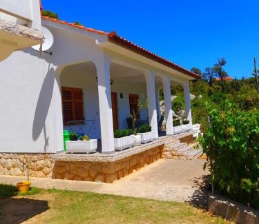 Suha Punta House | House Fantazija