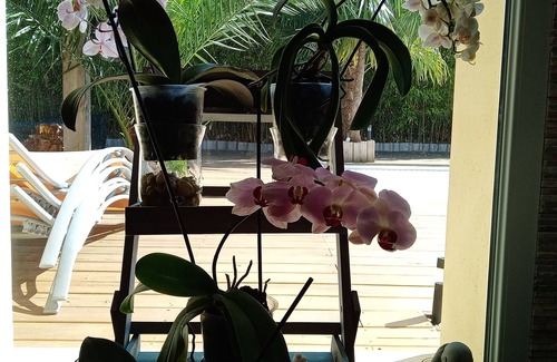 Saint-Vincent-de-Tyrosse House | House with swimming pool 20 minutes from the beaches of Seignosse-Hossegor