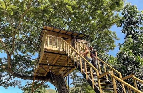Utica House | House in the Tree near Bogota SOPHIA