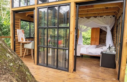 Utica House | House in the Tree near Bogota SOPHIA