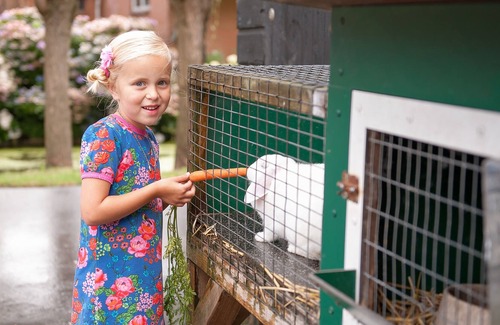 Haastrecht House | House