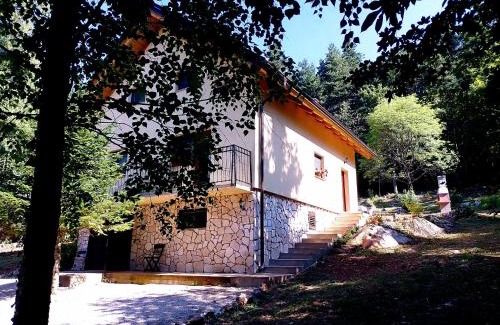 Otocac House | House sid forest