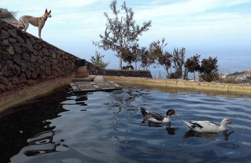 La Vera House | House Sleeps 4 with Private Parking