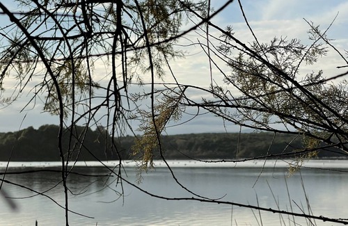 Oriente Intercommunalite House | House / Villa - Aleria