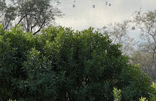 Oriente Intercommunalite House | House / Villa - Aleria