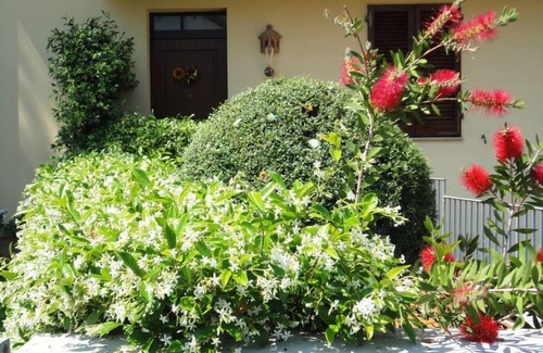 Forcoli House | "House with a garden in Tuscany, province of Pisa, ideal for visiting art cities