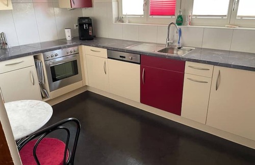 Brienz Apartment | House with beautiful lake view, garden and pool